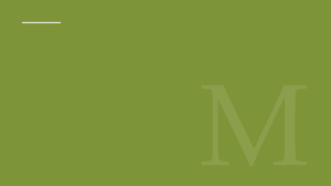 Mentor Modules article image
